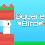 square-bird